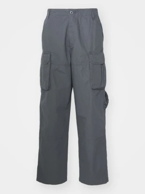 Bojówki Alpha Industries szary