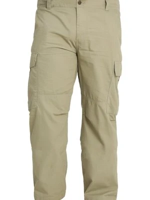 Bojówki Dickies