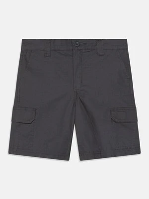 Bojówki Dickies