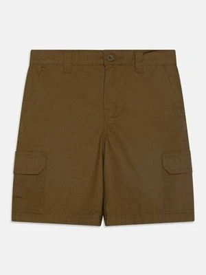 Bojówki Dickies