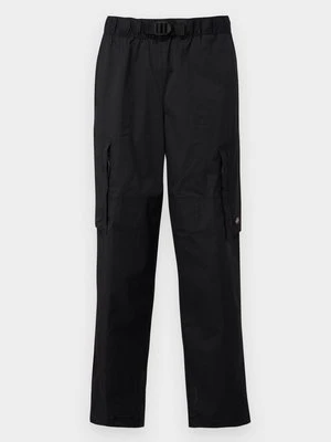 Bojówki Dickies