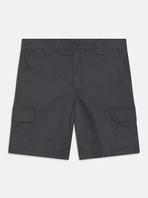 Bojówki Dickies szary