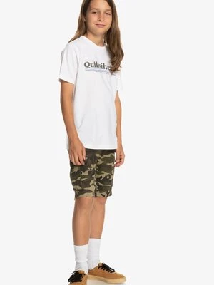 Bojówki Quiksilver