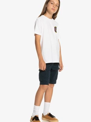 Bojówki Quiksilver