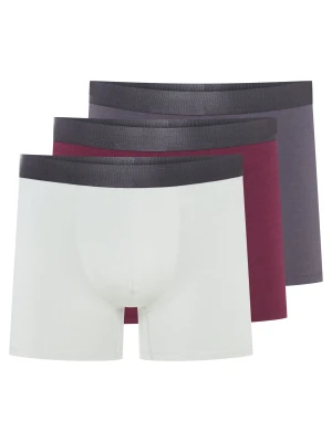 Bokserki Arch (Trzypak) Esotiq