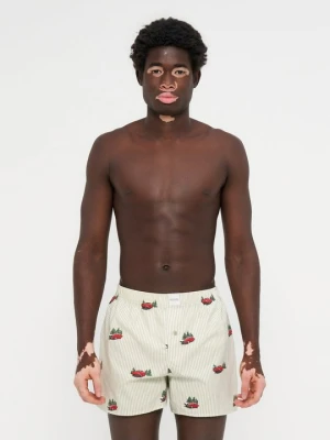 Bokserki Hollister Co. zielony