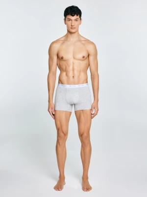 Bokserki męskie bawełniane szare Aragon 901 BIG STAR