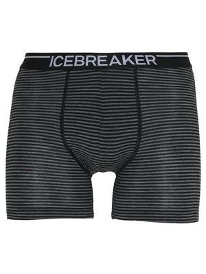 Bokserki z długimi nogawkami Icebreaker