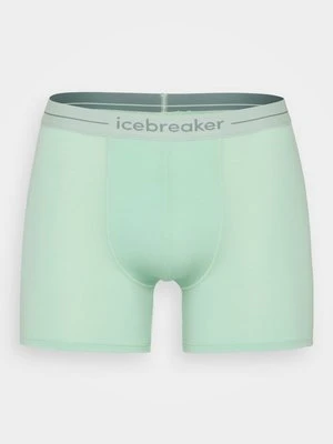 Bokserki z długimi nogawkami Icebreaker