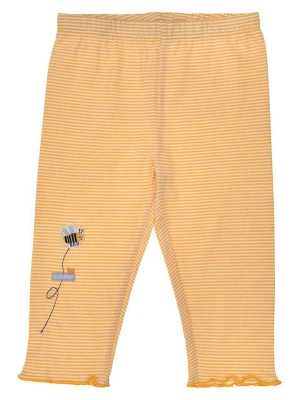 Bondi Legginsy "Biene" w kolorze żółtym rozmiar: 92