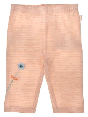 Bondi Legginsy w kolorze kremowo-jasnoróżowym rozmiar: 98