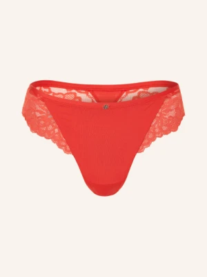 Boss Slipy Blossom rot