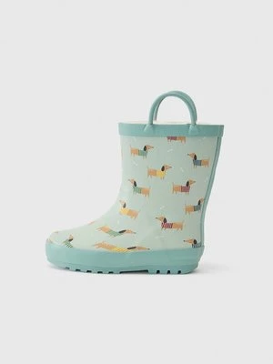 Botki Friboo