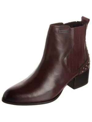 Botki Pepe Jeans bordowy