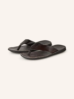 Brador Japonki Tcapo braun