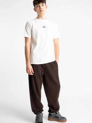 Brązowe spodnie dresowe OVERSIZE bez nadruków Reporter