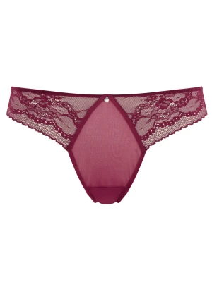 Brazyliany alexis Panache