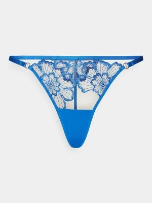 Brazyliany Bluebella