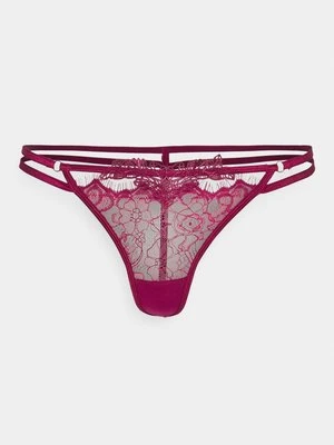 Brazyliany Bluebella