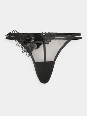 Brazyliany Bluebella