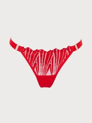 Brazyliany Bluebella