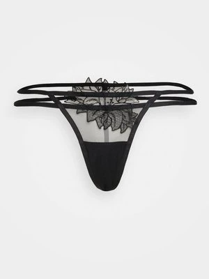 Brazyliany Bluebella