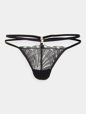 Brazyliany Bluebella