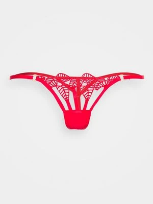 Brazyliany Bluebella