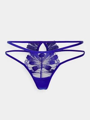 Brazyliany Bluebella