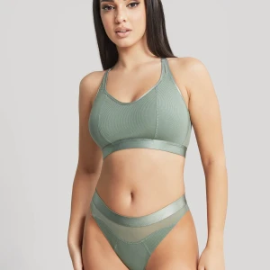Brazyliany freedom Panache