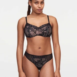 Brazyliany olivia Passionata