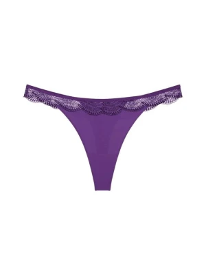 Brazyliany Triumph ciemnofioletowy