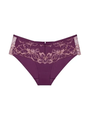 Brazyliany Triumph fioletowy