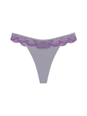 Brazyliany Triumph szary