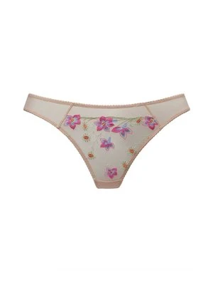 Brazyliany Vivance