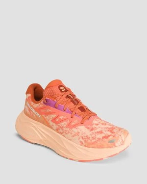 Buty biegowe damskie Salomon Aero Glide 2