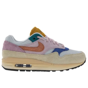 Buty damskie Nike Air Max 1 '87 PRM FN7200-224 - multikolor