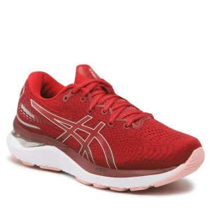 Buty do biegania Asics Gel-Cumulus 24 1012B206 Czerwony