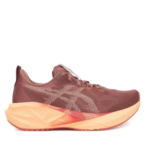 Buty do biegania Asics Novablast 5 1012B765 Brązowy