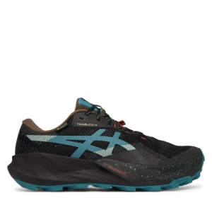Buty do biegania Asics Trabuco 14 Gtx 1011C165 Czarny