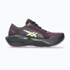 Buty do biegania damskie ASICS Novablast 6 GTX dark aubergine / black Bordowy