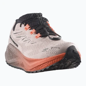 Buty do biegania damskie Salomon Aero Blaze 4 GRVL GTX rainy day / black Szary