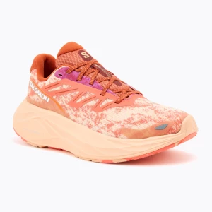 Buty do biegania damskie Salomon Aero Glide 2 spice route/peach quartz/fresh salmon