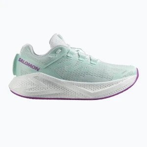 Buty do biegania damskie Salomon Aero Glide 3 bay/white/wilowherb