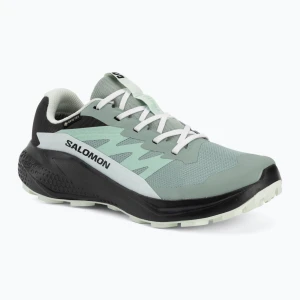 Buty do biegania damskie Salomon Alphaglide GTX green milieu / asphalt