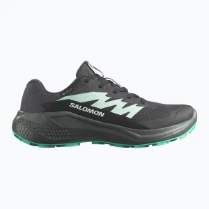 Buty do biegania damskie Salomon Alphaglide GTX hantom/urban chic/waterfall