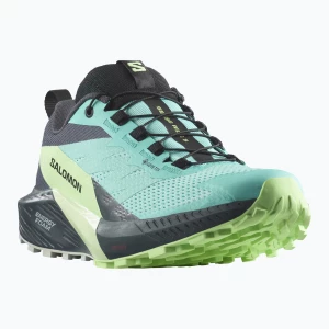 Buty do biegania damskie Salomon Sense Ride 5 GTX blue radiance/green ash/india Ink