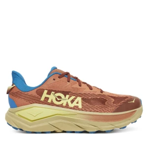 Buty do biegania Hoka Challenger 8 1168718 Brązowy