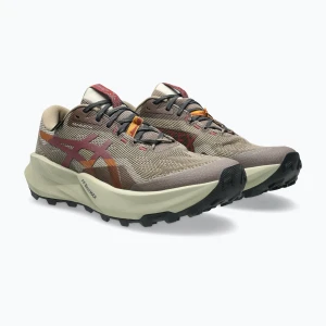 Buty do biegania męskie ASICS Trabuco 14 GTX taupe grey / oatmeal Beżowy