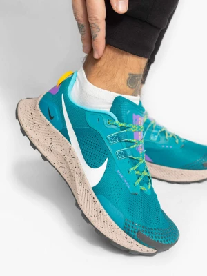 Buty do biegania męskie Nike PEGASUS TRAIL 3